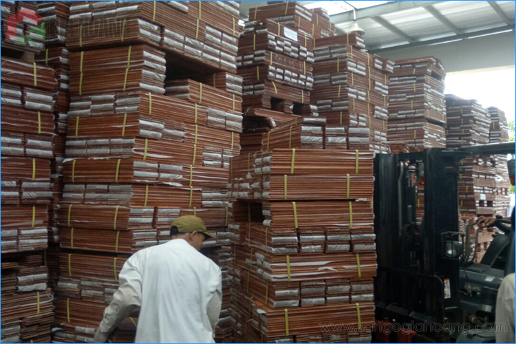 Sàn gỗ Gõ Đỏ Nam Phi 18x120x1000mm sản xuất lưu trữ kho Gia Hoàng